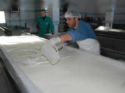 Trakya, süt üretiminde liderliğe oynuyor