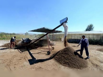 200 milyar solucanla milyonlar kazanıyor 