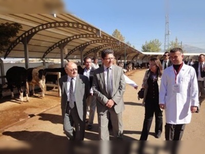 Kurbanlık satış yerlerindeki denetimler arttırıldı