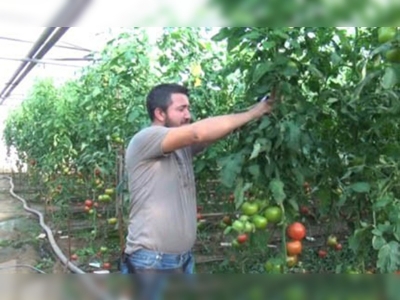 Kütahya Simavda geleceğin mesleği seracılık