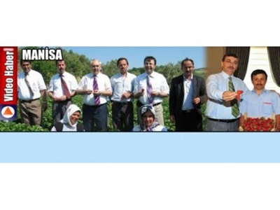 Çilek Üretimi Manisa'da Yaygınlaştırılıyor