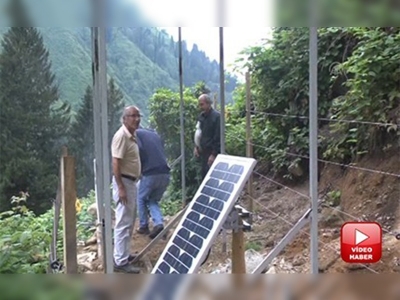 Arı kovanları, ayılardan elektrikli çitlerle korunacak 