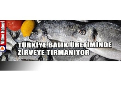 Türkiye Balık Üretiminde Zirveye Tırmanıyor