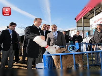 Bingölde Alo Küpe Hattı Hizmette