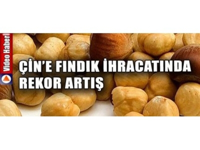 Çine Fındık İhracatında Rekor Artış