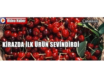 Kirazda İlk Ürün Sevindirdi