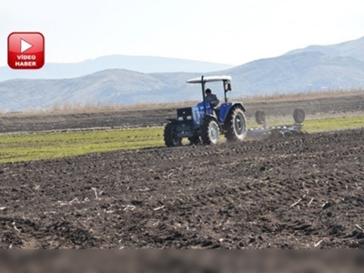 Kahramanmaraşta bataklığa buğday ekiliyor