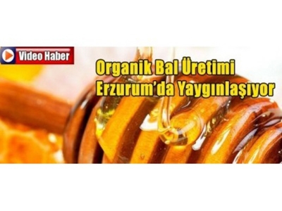 Organik Bal Üretimi Yaygınlaşacak