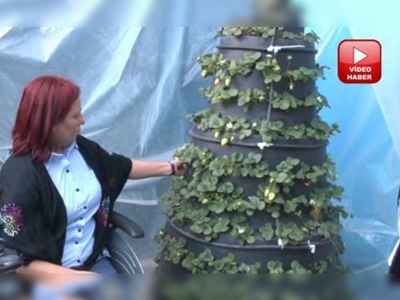 'Dikey Tarım Aparatı' ile hayata daha sıkı tutunacaklar 