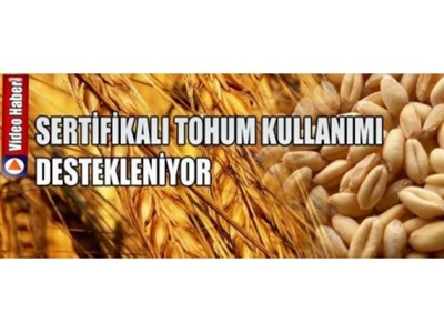 Sertifikalı Tohum Kullanımı Destekleniyor