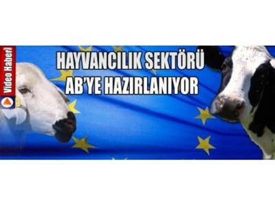 Hayvancılık Sektörü Ab'ye Hazırlanıyor