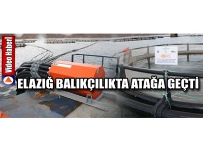 Elazığ Balıkçılıkta Atağa Geçti