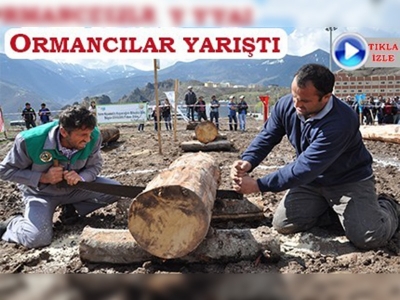 Ormancılar yarıştı