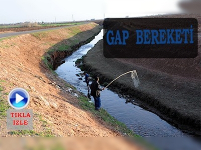 Harran Ovası'nda balık avı