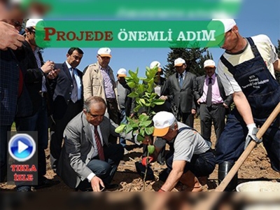 Turunçgilin üretim sezonu uzayacak