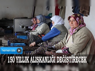 Yongalı aşı makinesi geliştirildi