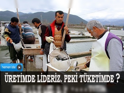 Türkiye  alabalık üretiminde Avrupa lideri