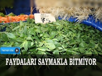 Bahar sebzeleri şifa deposu