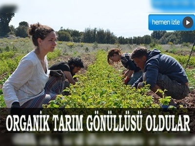 Yabancılar, organik tarım gönüllüsü