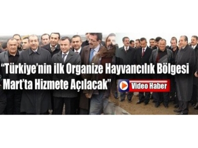 Türkiyenin İlk Organize Hayvancılık Bölgesi Martta Hizmete Açılacak