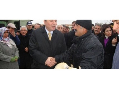 25 Üreticiye 25 Koç 500 Damızlık Koyun Dağıtıldı