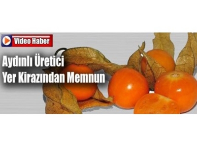 Aydınlı Üretici Yer Kirazının Veriminden Memnun