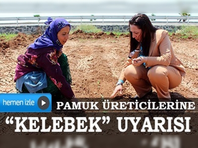 Pamuk, Türk ekonomisinin vazgeçilmezi