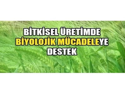 Bitkisel Üretimde Biyolojik Mücadeleye Destek