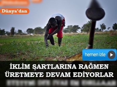 Çad'da insan gücüne dayalı tarım