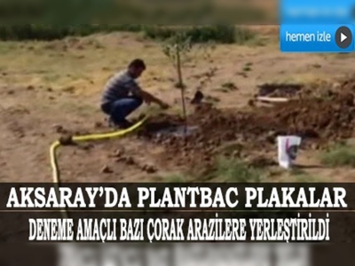 Çorak araziler yeniden yeşerecek 