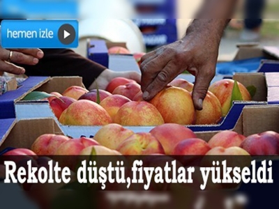 Düşük rekolte şeftali fiyatlarını artırdı