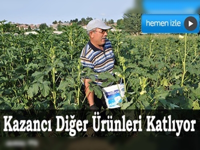 Bamya, Yozgatlı çiftçinin yüzünü güldürdü