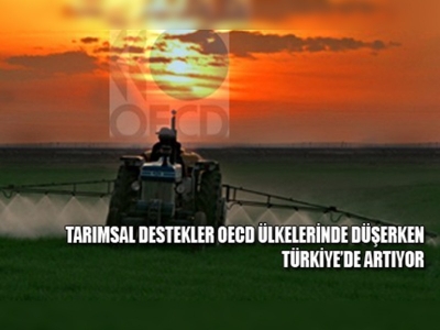 Tarım desteği Türkiyede artıyor