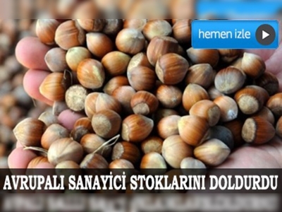 Dünya ucuz Gürcü fındığına yöneldi 