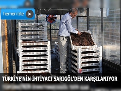 İzmir'deki bu fırın yaz kış üzüm kurutuyor 