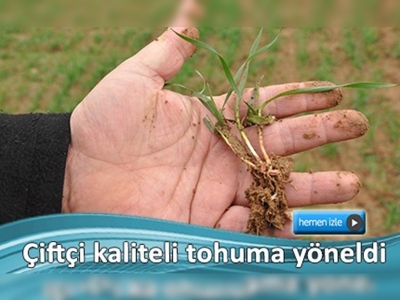 Çiftçi kaliteli tohuma yöneldi