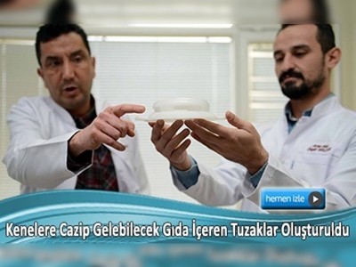 Keneleri tuzağa düşürecekler 