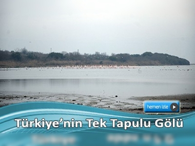 Kuş gözlemcilerinin yeni gözdesi olacak