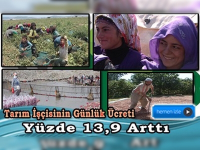 TÜİK Tarımsal İşletmelerde Ücret Yapısı istatistiklerini açıkladı