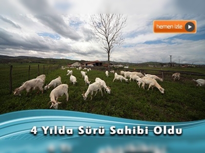 Tuğla fabrikasını keçi ağılı yaptı 