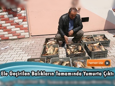 Yozgat'ta kaçak balıkçılara göz açtırılmıyor