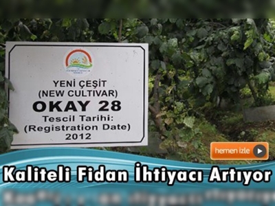 Fındık fidanı ihtiyacı laboratuvarda karşılanacak