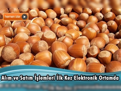 Dünyanın ilk fındık borsası Giresun'da kuruluyor