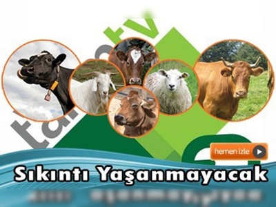 Kurbanlık hayvan sıkıntısı yaşanmayacak