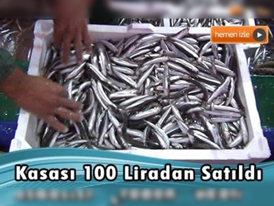 Bandırma'da hamsi bereketi