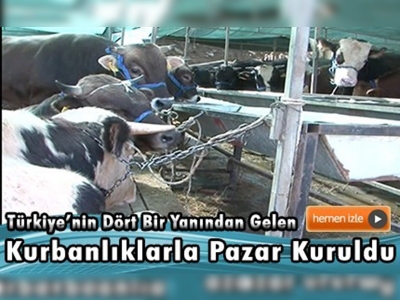 İzmir Kurban Bayramı'na hazır