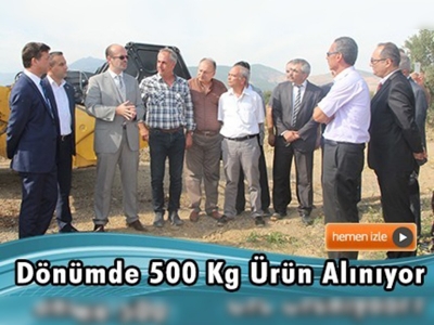 Kahramanmaraş'ta soya ekimi yaygınlaşıyor