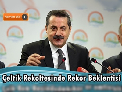 Bakan Çelik: Şapta paniklik bir durum yok