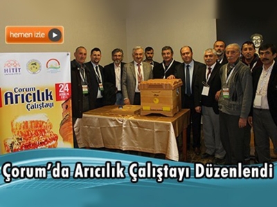 Çorum'da Arıcılık Çalıştayı Düzenlendi