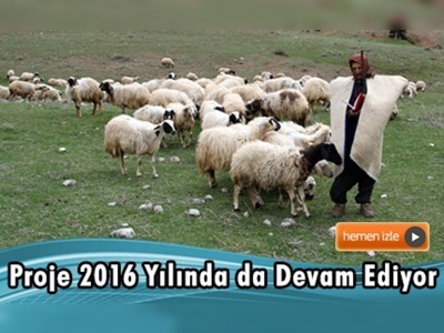 ''Sürü Yönetimi Elemanı Benim'' Projesi 2016 Yılında da Devam Ediyor